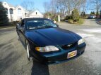 Thumbnail Photo 15 for 1994 Ford Mustang